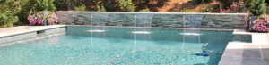 suwanne ga pool inspections