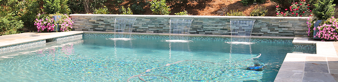 suwanne ga pool inspections