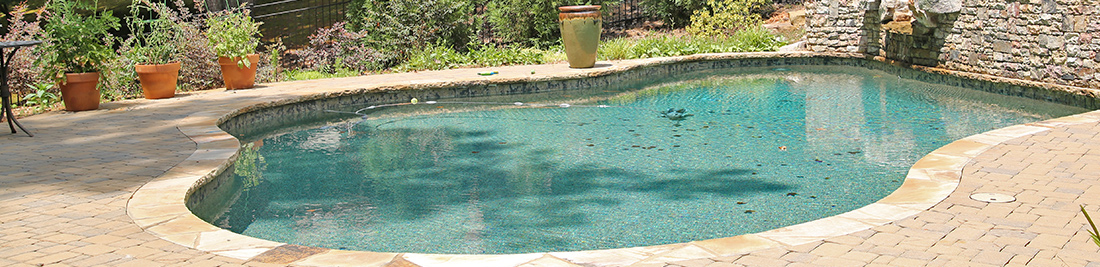 canton ga pool inspector